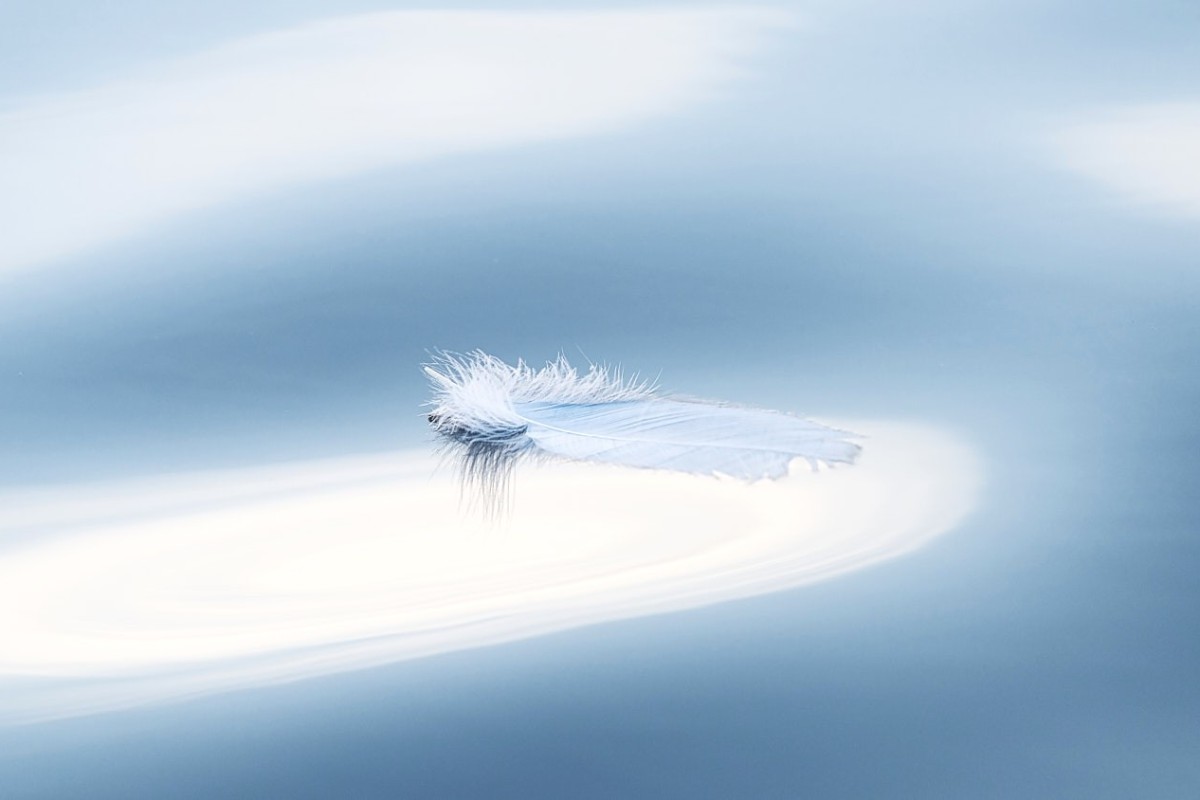 Zarte weiße Feder treibt auf ruhiger Wasseroberfläche und symbolisiert Ruhe, Natur und Leichtigkeit.