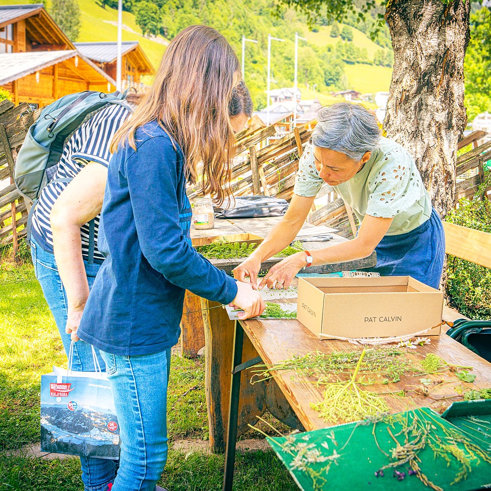 Workshop im Freilichtmuseum mit Kräuterkunde, kreativer Bildung und kulturellem Austausch in alpiner Umgebung.